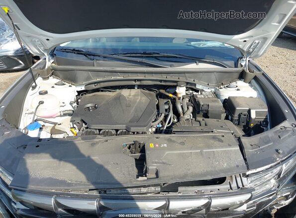 5NMJACDE4RH437165 2024 HYUNDAI TUCSON Silver Widok z tyłu