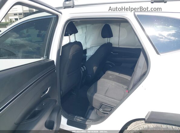 5NMJB3AE3PH206420 2023 HYUNDAI TUCSON White VIN sticker view