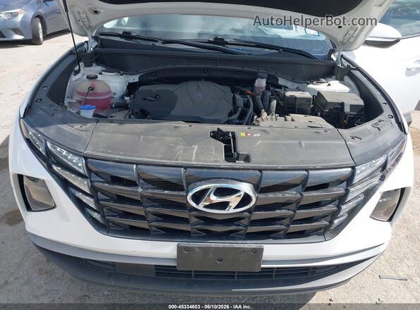 5NMJB3AE3PH206420 2023 HYUNDAI TUCSON White Rear view
