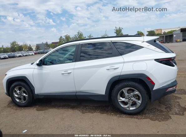 5NMJB3AE3PH210158 2023 HYUNDAI TUCSON White 