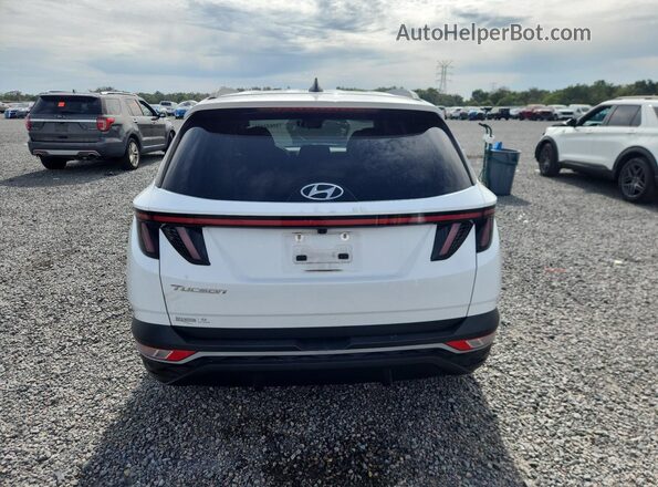 5NMJB3AE6NH034445 2022 HYUNDAI TUCSON Белый 