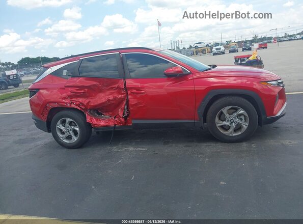 5NMJB3AEXPH255209 2023 HYUNDAI TUCSON Red Rear interior view