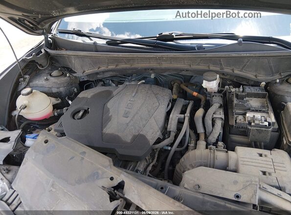5NMJB3AEXPH284192 2023 HYUNDAI TUCSON Black უკანა ხედი