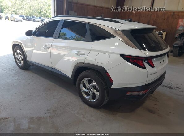 5NMJB3DE0RH406895 2024 HYUNDAI TUCSON Белый Задняя левая четверть