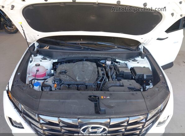5NMJB3DE0RH406895 2024 HYUNDAI TUCSON Белый Вид сзади