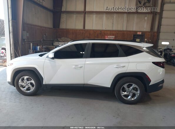 5NMJB3DE0RH406895 2024 HYUNDAI TUCSON Белый Панорамный вид салона 360°