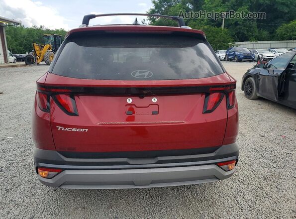 5NMJB3DE1TH627381 2026 HYUNDAI TUCSON Красный Вид сзади