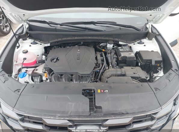 5NMJB3DE2TH636204 2026 HYUNDAI TUCSON Белый Вид сзади