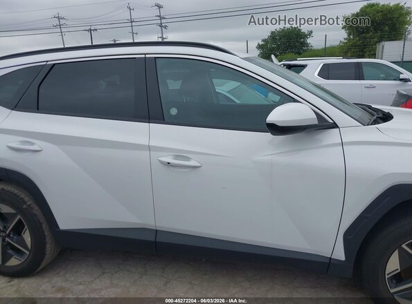 5NMJB3DE2TH636204 2026 HYUNDAI TUCSON Белый Вид задней части салона