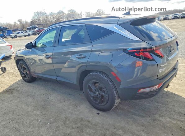 5NMJB3DE3RH308248 2024 HYUNDAI TUCSON Серый 