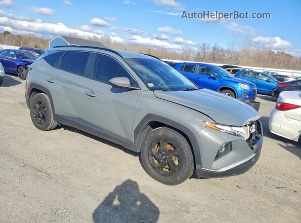5NMJB3DE3RH308248 2024 HYUNDAI TUCSON Серый 