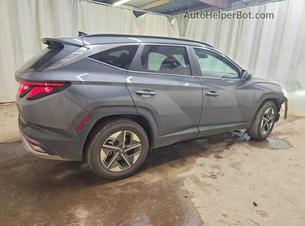 5NMJB3DE3SH549040 2025 HYUNDAI TUCSON Blue უკანა მარჯვენა