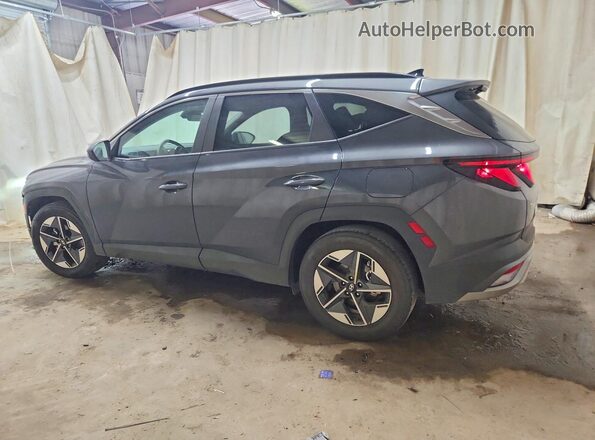 5NMJB3DE3SH549040 2025 HYUNDAI TUCSON Blue უკანა მარცხენა