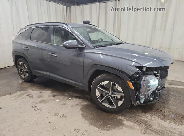 5NMJB3DE3SH549040 2025 HYUNDAI TUCSON Blue 