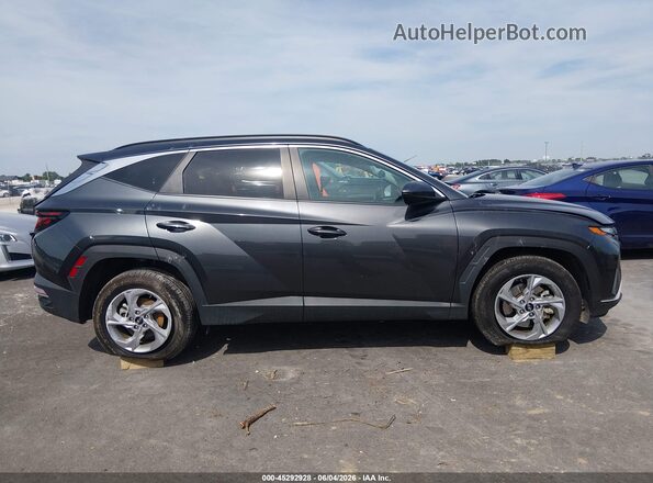 5NMJB3DE4RH300059 2024 HYUNDAI TUCSON Gray Rear interior view