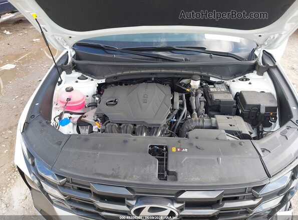 5NMJB3DE5SH555356 2025 HYUNDAI TUCSON White Vista trasera
