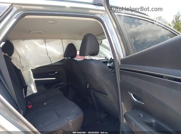 5NMJB3DE6RH299187 2024 HYUNDAI TUCSON Серый Вид наклейки с VIN-кодом