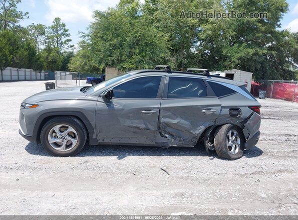 5NMJB3DE6RH299187 2024 HYUNDAI TUCSON Серый 