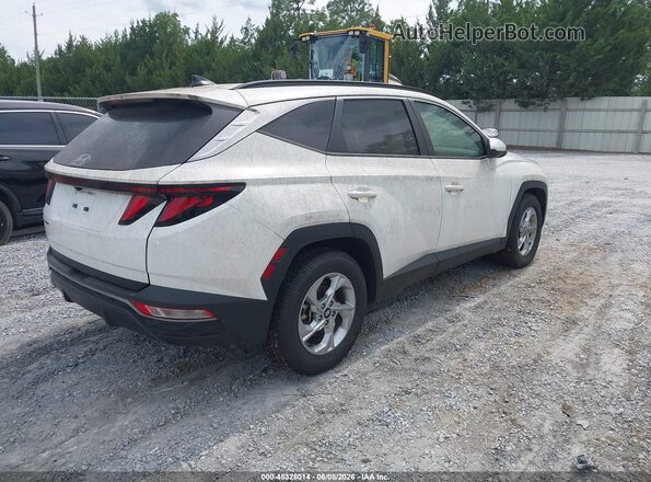 5NMJB3DE8RH421645 2024 HYUNDAI TUCSON Белый Задняя правая четверть