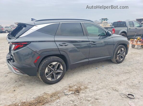 5NMJB3DEXSH451106 2025 HYUNDAI TUCSON Gray Задня права чверть
