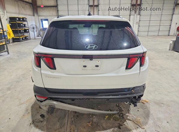 5NMJB3DEXSH492108 2025 HYUNDAI TUCSON White უკანა ხედი