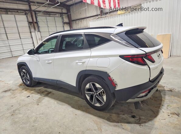 5NMJB3DEXSH492108 2025 HYUNDAI TUCSON White უკანა მარცხენა