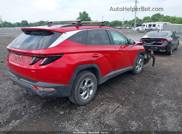 5NMJBCAE1PH222843 2023 HYUNDAI TUCSON Red უკანა მარჯვენა