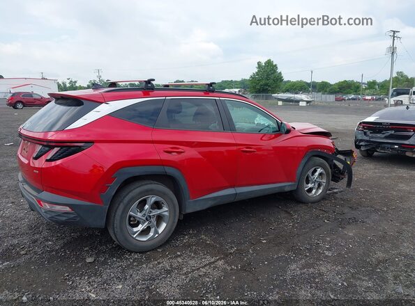 5NMJBCAE1PH222843 2023 HYUNDAI TUCSON Red უკანა სალონის ხედი