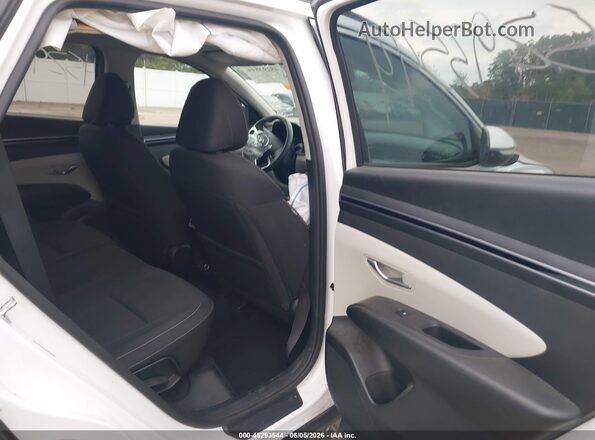 5NMJBCAE3PH207986 2023 HYUNDAI TUCSON White VIN կոդի պիտակի տեսք
