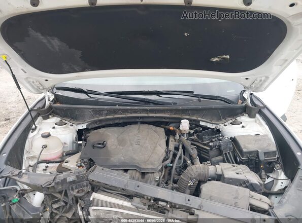 5NMJBCAE3PH207986 2023 HYUNDAI TUCSON White Հետևի տեսք