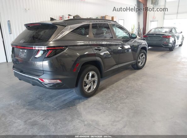 5NMJBCAE4PH250362 2023 HYUNDAI TUCSON Gray Задня права чверть