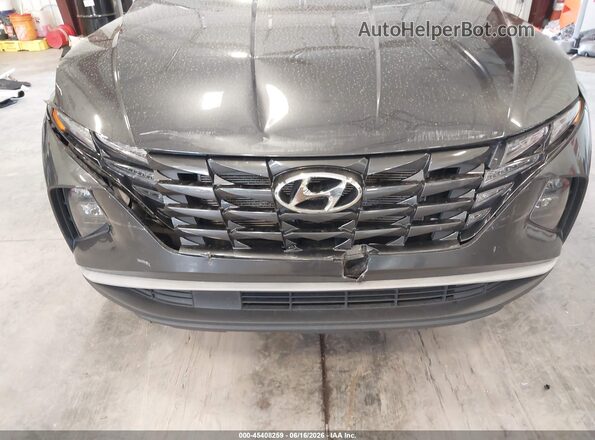 5NMJBCAE4PH250362 2023 HYUNDAI TUCSON Gray Вид спереду