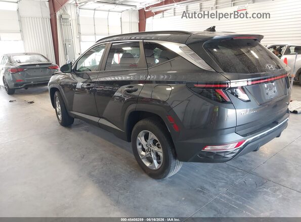 5NMJBCAE4PH250362 2023 HYUNDAI TUCSON Gray Задня ліва чверть