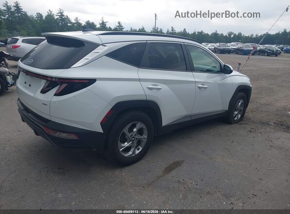 5NMJBCAE6NH037488 2022 HYUNDAI TUCSON White Задня права чверть