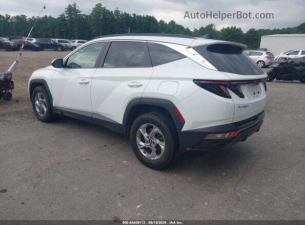 5NMJBCAE6NH037488 2022 HYUNDAI TUCSON White Задня ліва чверть