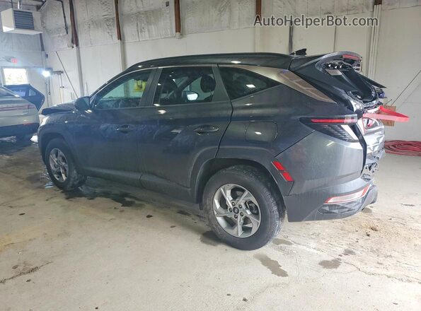 5NMJBCAE7PH240733 2023 HYUNDAI TUCSON Black Հետևի ձախ
