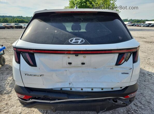 5NMJBCAE8NH039100 2022 HYUNDAI TUCSON White უკანა ხედი
