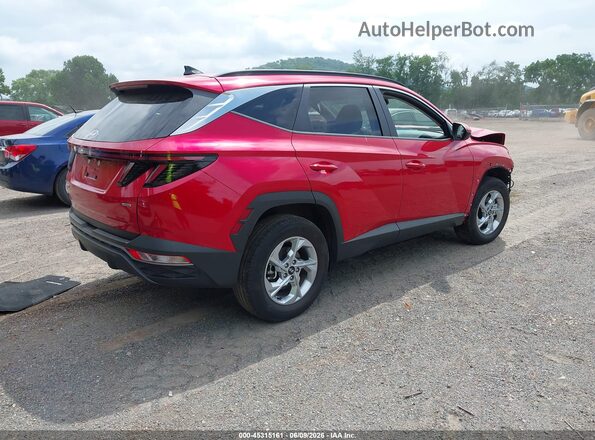 5NMJBCAE8PH197472 2023 HYUNDAI TUCSON Red Հետևի աջ