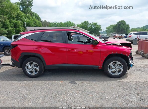 5NMJBCAE8PH197472 2023 HYUNDAI TUCSON Red Սալոնի 360 աստիճան տեսք