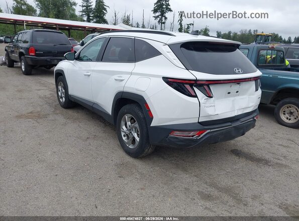 5NMJBCAE9PH183533 2023 HYUNDAI TUCSON White Tył lewy
