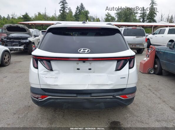 5NMJBCAE9PH183533 2023 HYUNDAI TUCSON White 