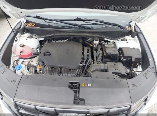 5NMJBCAE9PH183533 2023 HYUNDAI TUCSON White Widok z tyłu