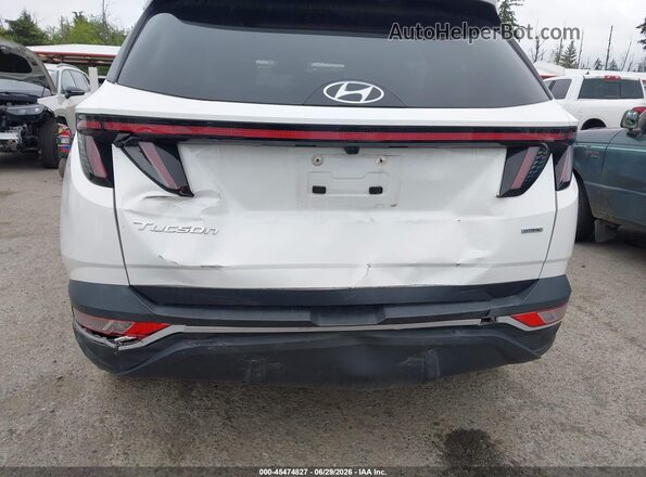 5NMJBCAE9PH183533 2023 HYUNDAI TUCSON White Widok z przodu