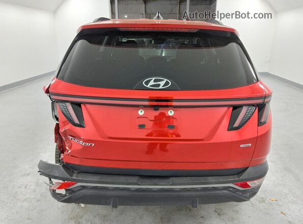 5NMJBCAEXPH216572 2023 HYUNDAI TUCSON Красный 