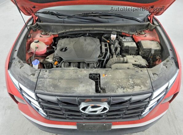 5NMJBCAEXPH216572 2023 HYUNDAI TUCSON Красный 
