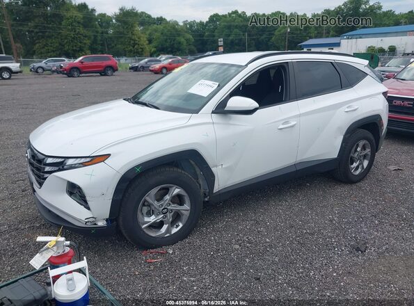 5NMJBCDE0RH352045 2024 HYUNDAI TUCSON White Передня ліва чверть