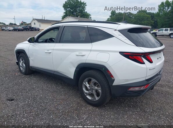 5NMJBCDE0RH352045 2024 HYUNDAI TUCSON White Задня ліва чверть