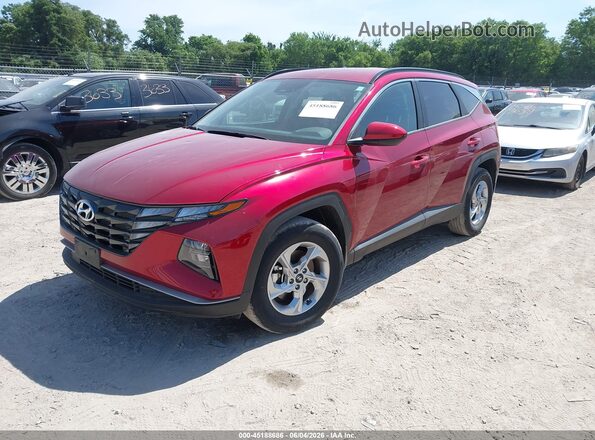 5NMJBCDE2RH409054 2024 HYUNDAI TUCSON Burgundy Przód lewy