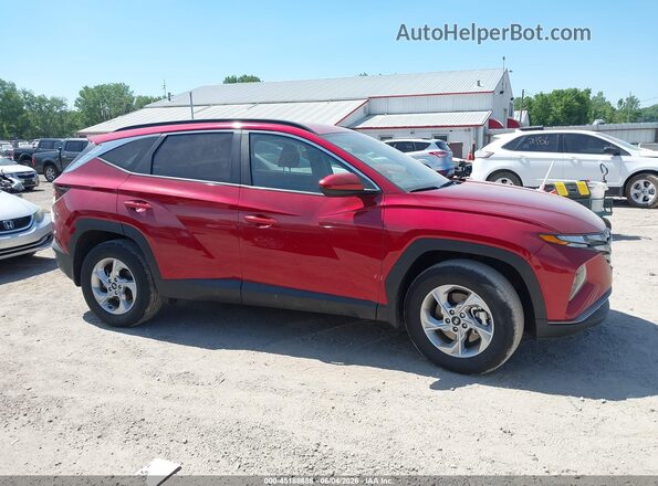 5NMJBCDE2RH409054 2024 HYUNDAI TUCSON Burgundy Widok wnętrza z tyłu