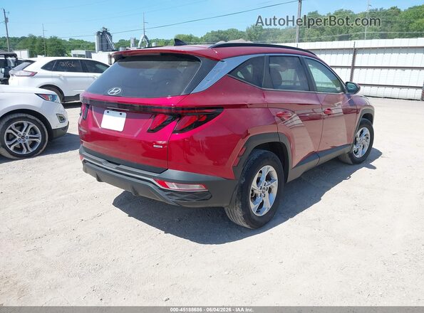 5NMJBCDE2RH409054 2024 HYUNDAI TUCSON Burgundy Tył prawy